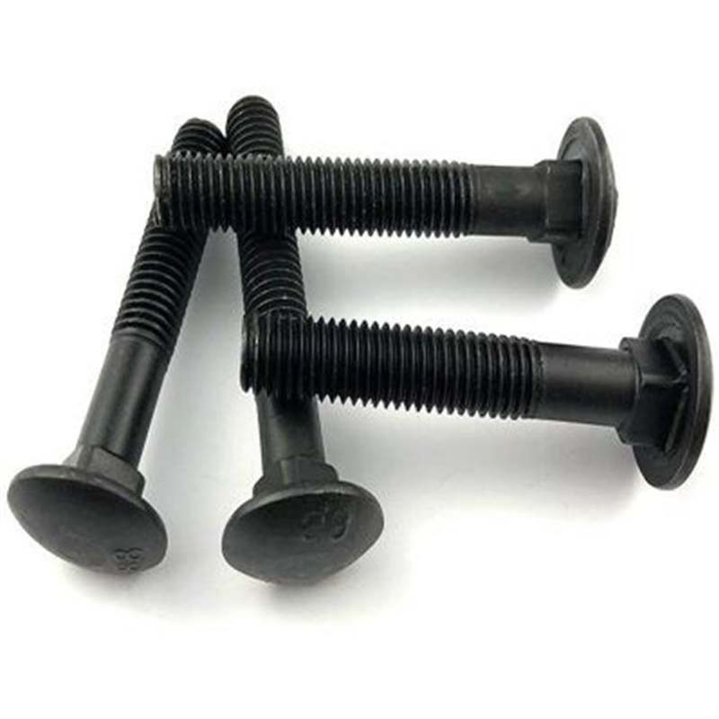 Boulon de cou carré de tête noire
