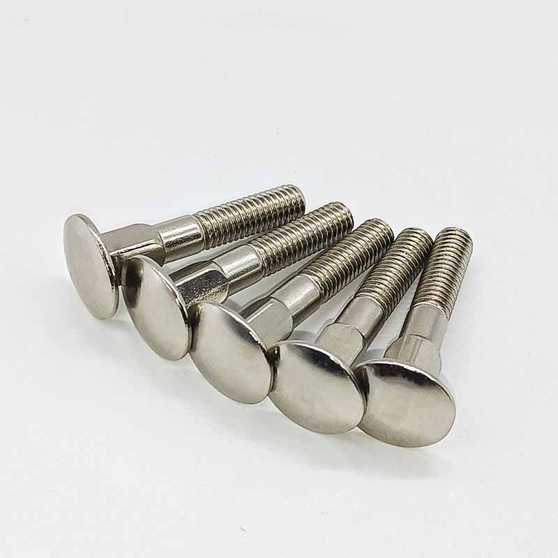 Boulon de cou carré de tête de tête