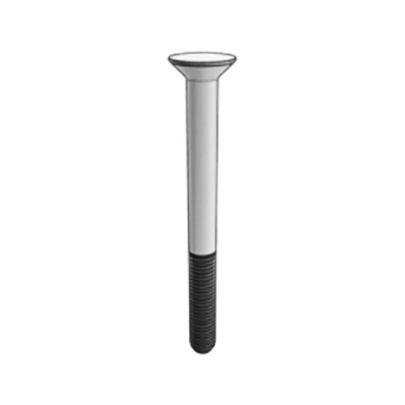 Boulons d'ancrage DIN529 de type G