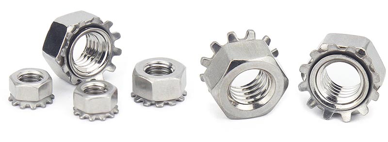 Combination nut with hexagonal spring washer Combination nut with hexagonal spring washer