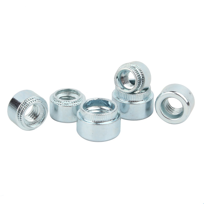 Noix de rond rond en acier inoxydable